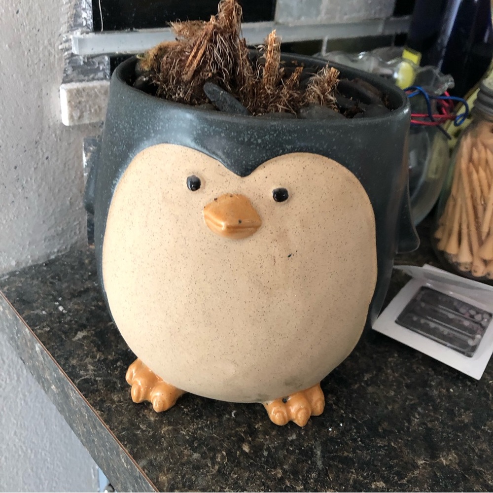 SOLD EBY:Penguin planter 6”
